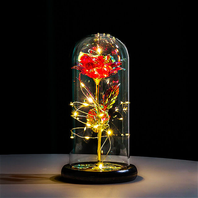 enchanted-galaxy-forever-rose