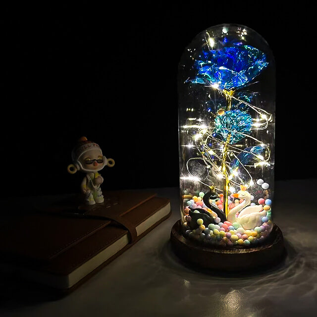 enchanted-galaxy-forever-rose