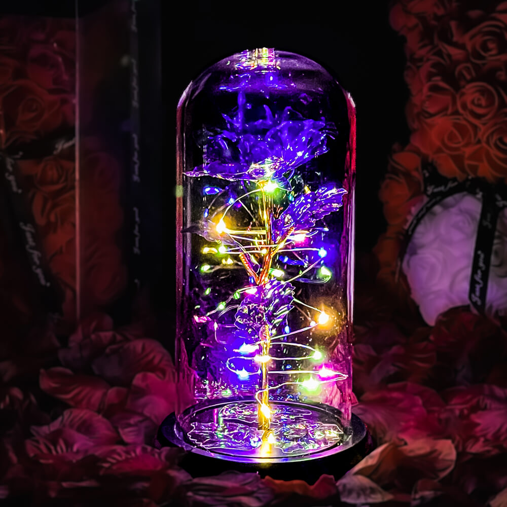 enchanted-galaxy-forever-rose