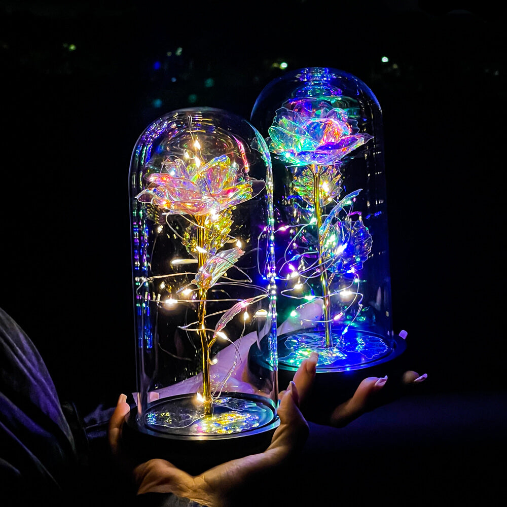 enchanted-galaxy-forever-rose